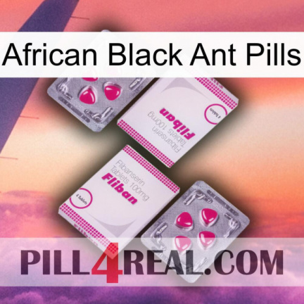 African Black Ant Pills 33